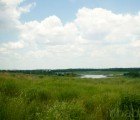 EXCLUSIVE PHOTOS: Inhabitat Visits New York City’s Future Freshkills Park!