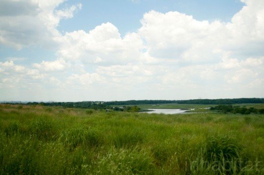 freshkills, fresh kills, freshkills park, staten island park, landfill capping, wetland restoration, sustainable planning, james corner field operations, landscape architecture, green design, sustainable design, new york city park, landfill park, wetland park