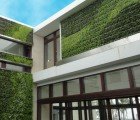 Add Color to Your Yard with Gsky’s Succulent Green Walls and Vertical Gardens
