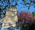Portland Oregon is the Latest City to Ban Plastic Bags!