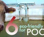 6 Incredible Green Projects That Put Poop to Good Use!