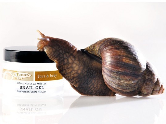 eco-friendly beauty, green beauty, eco-beauty, sustainable beauty, snails