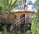 Blue Forest’s Treehouse Office is a High-Flying Wooden Workplace