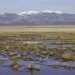 epa regulations, endangered species list, republicans target epa regulations, pollution regulations, epa, department of the interior, fish and wildlife service