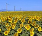 Report Reveals America Now Receives More Power From Renewable Sources Than Nuclear