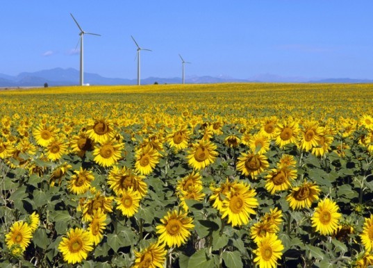 biomass, wind energy, solar power, biofuels, hydropower, nuclear, geothermal, alternative energy, renewable energy, Energy Information Administration, Monthly Energy Review, green design, sustainable design, eco-design