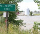 Exxon Plans to Drain Remaining Oil From Failed Yellowstone Pipeline