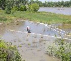 Yellowstone Oil Spill Reveals Serious Lack of Oversight in Pipeline Industry