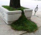 Colorful and Quirky Tree Planter Art Brightens Up Toronto’s Streets