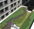 Riverside Medical Center Gets a Gorgeous New Green Roofed Addition