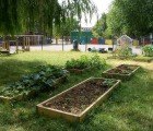 Capital Growth Scheme Creates 2,012 Public Gardens by 2012 for London