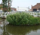 Floating Islands Will Restore Life to Minnesota’s Spring Lake