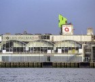 Bright Green Las Palmas Parasite Hangs on the Shoulder of Abandoned Rotterdam Warehouse