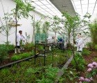 Artist Kris Verdonck’s Enclosed Bio-Dome Is Full of Belgium’s Most Invasive Species
