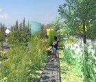 Mexico City Will Get Its Own Greenery Filled High Line Park in 2012!