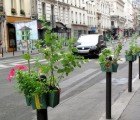 Recycled POTOGREEN Planters Disguise Parisian Parking Poles as Mini Gardens!
