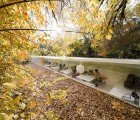 Selgas Cano’s Incredible Glass Office Gives Employees a Bug’s Eye View of the Forest Floor