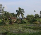 Solar Industry Responsible for Dumping 2.4 Million Tons of Lead on China and India
