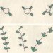 tree inspired solar, boy solar invention, Aidan Dwyer, solar array, new solar array, solar tree, solar technology, biomimicry solar,