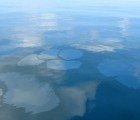 New Oil Sheen in Gulf Waters Linked to Deepwater Horizon Well