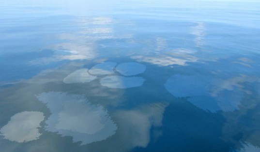 gulf spill Oil spill, Gulf of Mexico, BP, Macondo Well, Daren Beaudo, Stuart Berman, Oil sheen, Oil Leakage, Oil Spill, bp oil spill, new gulf oil spill, gulf oil spills, bp environmental damage, gulf water damage, press register