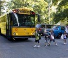 Best Eco-friendly Back-to-School Supply Basics for Kids!