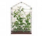 Sebastian Bergne Builds a Beautiful Greenhouse Entirely from LEGO Blocks