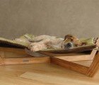 Help Pet Lounge Studios Create a Documentary About Its Sustainable Bamboo Dog Furniture