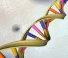 Scientists Isolate Plant Gene That Could Lead to Cheaper, More Efficient Ethanol Production