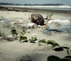 Plastic Disclosure Project Wants to Measure Your Plastic Footprint