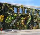 The Semiahmoo Library’s Larger Than Life Living Wall Features Over 10,000 Plants
