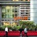 Green design, Urban Planning, Parklet, Public Space, Conceptual Art, San Francisco, Conger Moss Guillard, Yerba Buena Center, Street Life