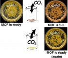 Common Sugars Could Be Used to Capture Carbon Emissions at Their Source