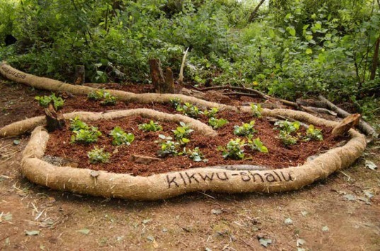Forest Habitat deanna pindell, forest habitat, green art, eco art, sustainable art, eco design, green design, sustainable design,
