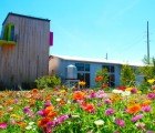 Unabridged Architecture Transforms Dilapidated 1891 Building Into Colorful Eco Offices