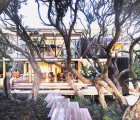 Beautiful Glass Front Beach House Harmonizes With Indigenous Pohutukawa Trees