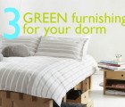 Back To School Picks: Green Furnishings For Your Dorm or Apartment