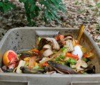 Food Industry Wages War Against Food Waste
