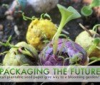 Packaging the Future: Can Plantable Seed Paper Give Way to a Blooming Garden?