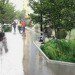 Green design, Urban Planning, Parklet, Public Space, Conceptual Art, San Francisco, Conger Moss Guillard, Yerba Buena Center, Street Life