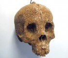 Helen Altman’s Creepy Skull Sculptures are Made from Grains, Herbs and Spices
