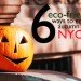 Eco-Friendly Fall Fun in NYC, fall activities, fall food, fall foliage, fall in new york, halloween new york, pumpkin picking nyc, queens country farm museum, haunted houses nyc, fall greenmarket vegetables