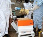 Midtown Buzz: Design an Urban Beehive and Support Biodiversity in London