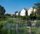 City Farm: South Providence’s Urban Agriculture Transformation