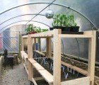 Empty Storefront in London Turned into World’s First Farm in a Shop!
