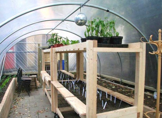 farm shop, london farm shop, green storefront, green london, urban farming, uk urban farming, london urban farming, urban farming projects, england urban farming