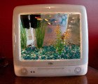 Macquariums: Iconic Candy-Colored Apple iMacs Recycled into Aquariums!