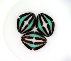 Maria Fernanda Cardoso’s Gorgeous Jewel-Toned Artworks Are Made From Butterfly Wings