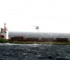 Three Mile Oil Slick Threatens Wildlife After Ship Slams into a New Zealand Coral Reef