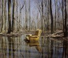 Altered Landscapes at the Nevada Museum of Art Shows Humans’ Impact on the Environment